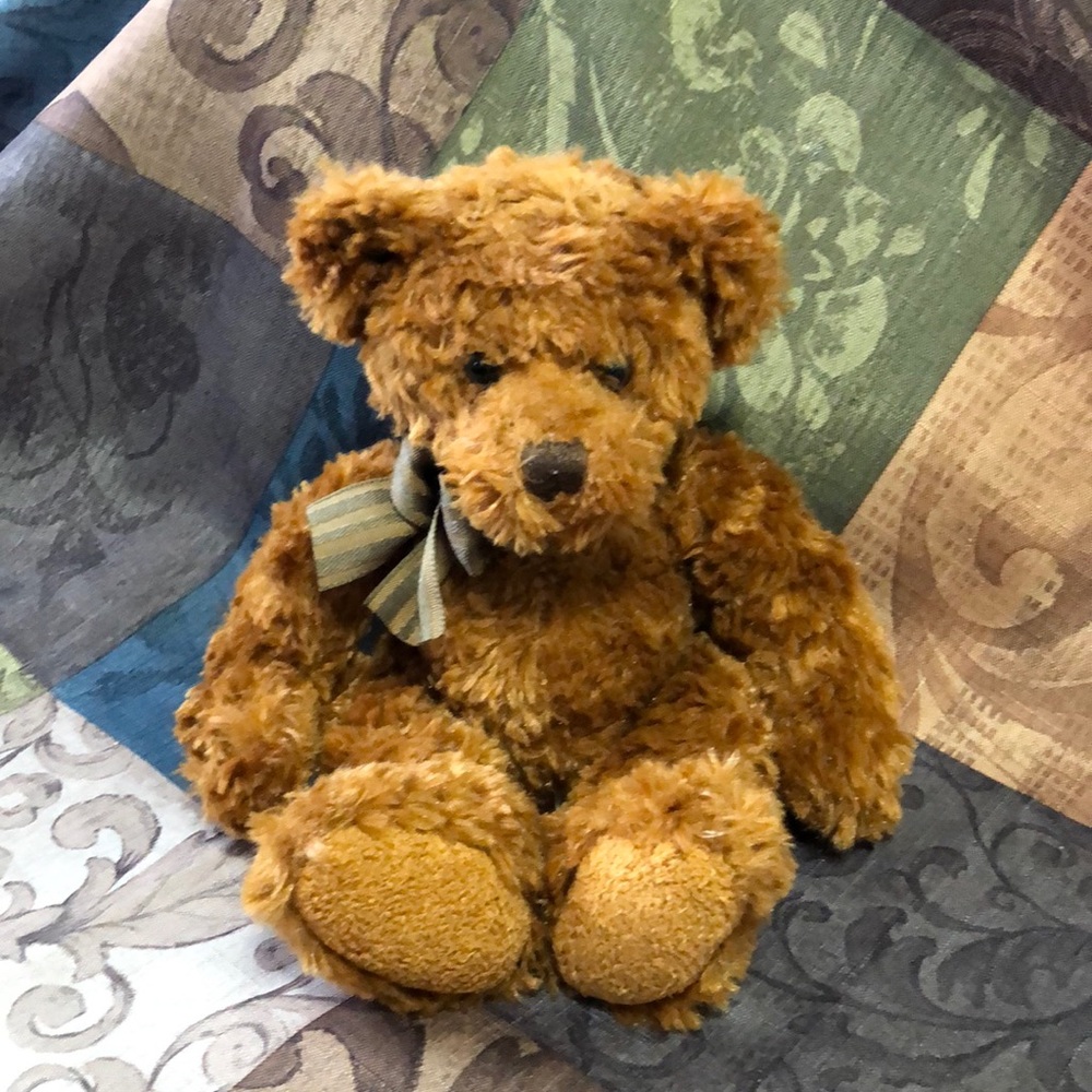 🛍️5/$20🛍️EUC Adorable Classic Teddy
